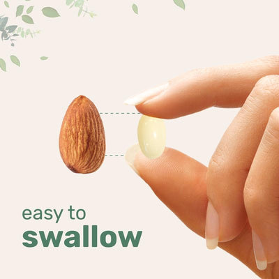 NAC 600mg + NAD⁺ | Cycle Support Formula